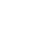 nerf disc icon